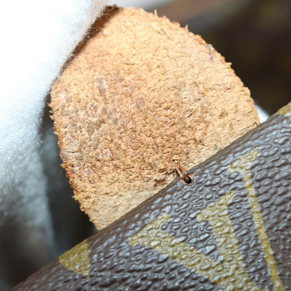 Louis Vuitton Sac Souple Handbag Monogram Canvas, BROWN, CANVAS, Travel bag