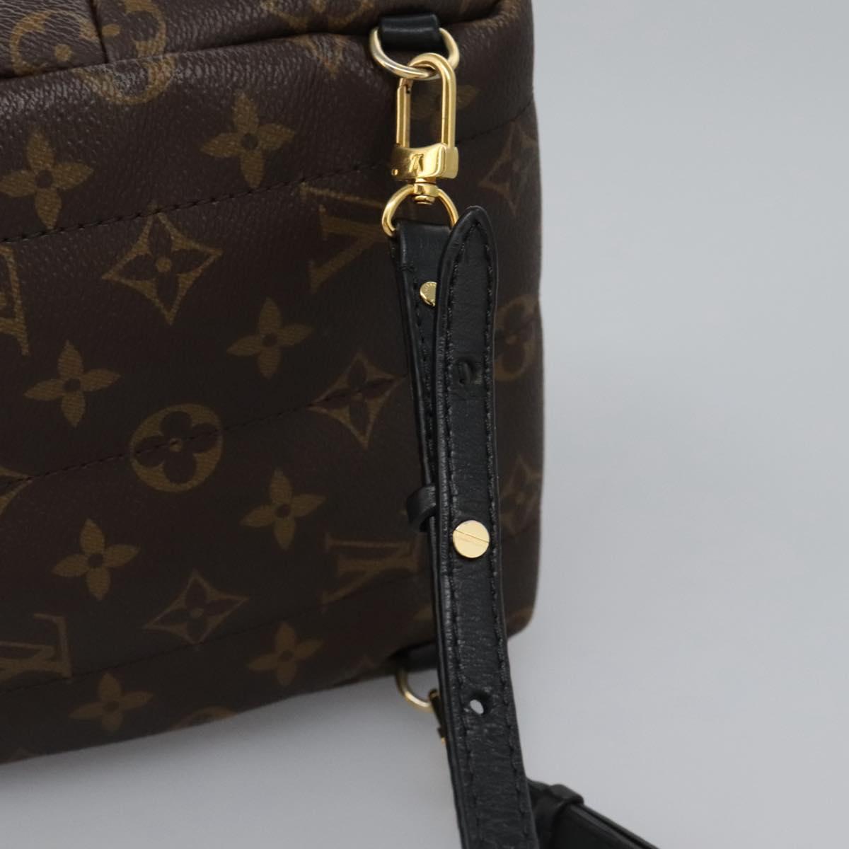Louis Vuitton Palm Springs Backpack Monogram Canvas, BROWN, CANVAS, Backpack