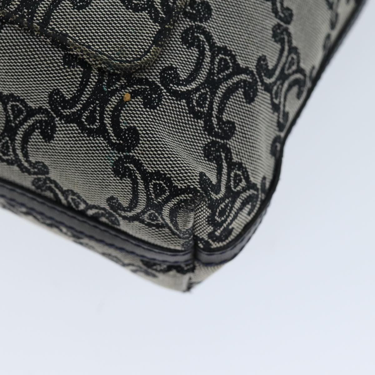 Celine Vintage Triomphe Shoulder Bag Canvas, GRAY, CANVAS, Shoulder bag