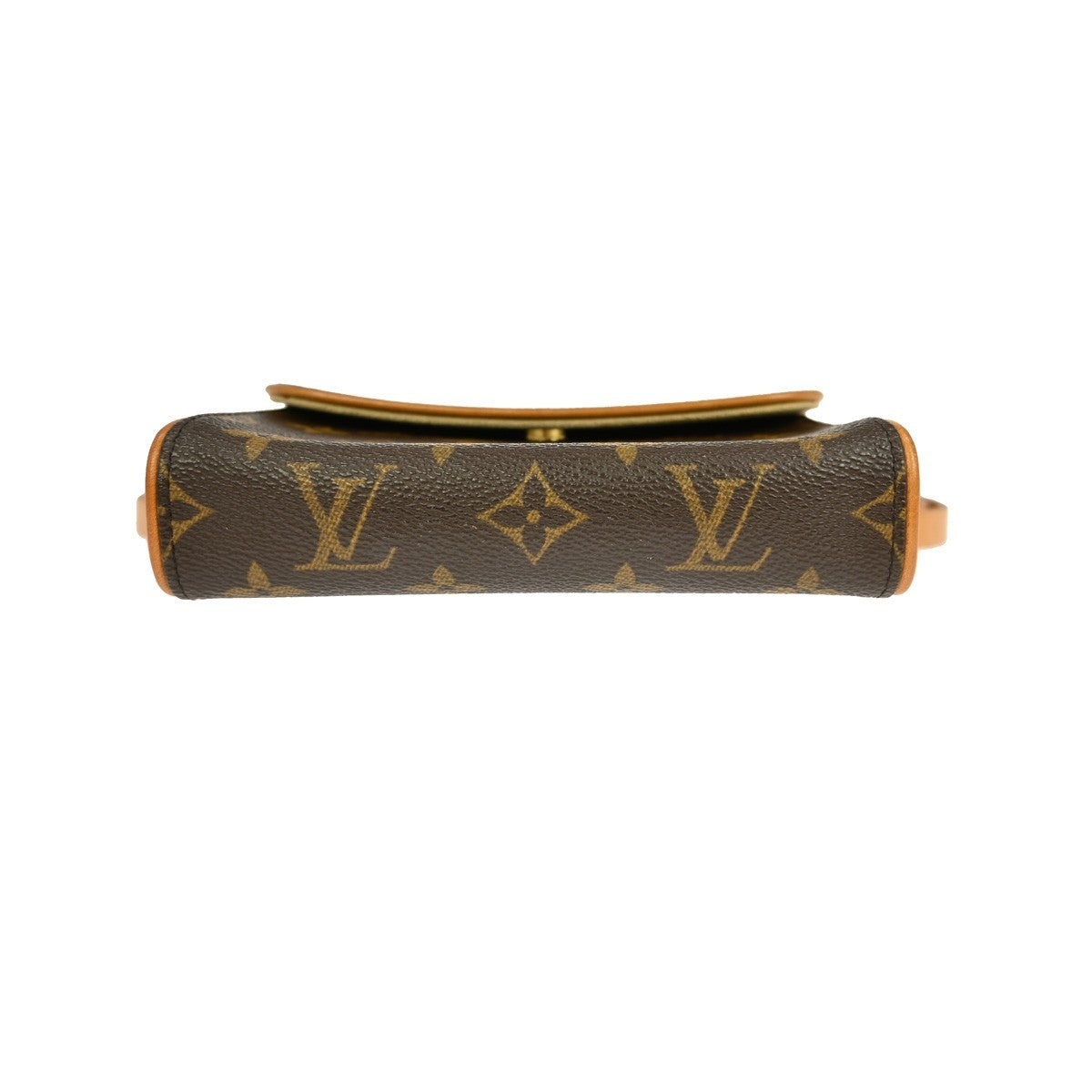 Louis Vuitton Florentine Waist Bag Monogram Canvas, BROWN, CANVAS, Clutche & pouche