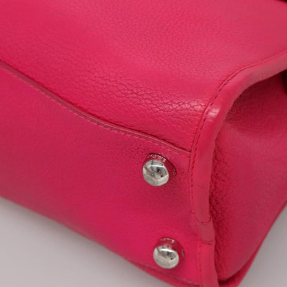 Loewe Alamo Handbag Leather, PINK, LEATHER, Handbag