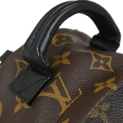 Louis Vuitton Palm Springs Backpack Limited Edition World Tour Monogram Canvas, BROWN, CANVAS, Backpack