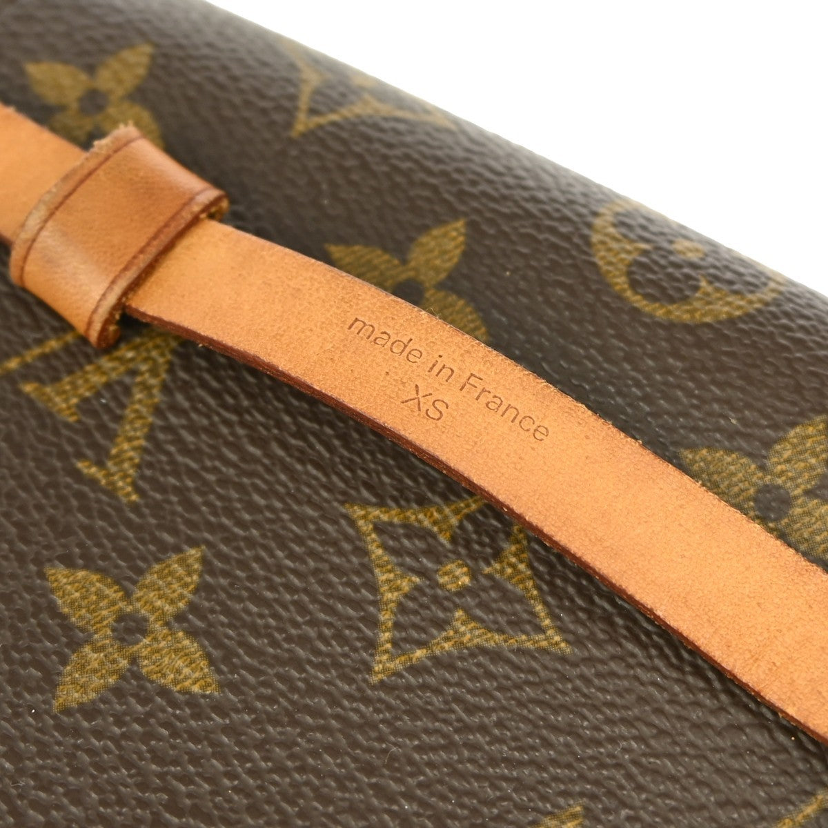 Louis Vuitton Florentine Waist Bag Monogram Canvas, BROWN, CANVAS, Clutche & pouche