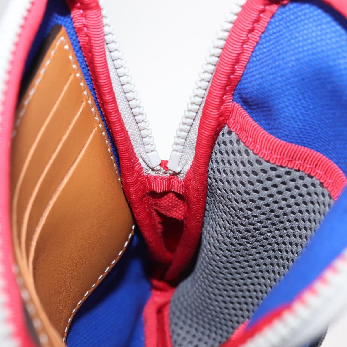 Loewe Eye/Loewe/Nature Zip Neck Pouch Canvas with Applique, BLUE, CANVAS, Clutche & pouche