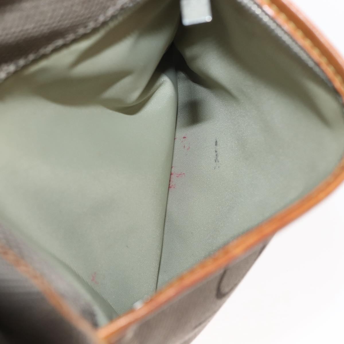 Louis Vuitton Citadin Messenger Bag Damier Geant Canvas, BROWN, CANVAS, Shoulder bag