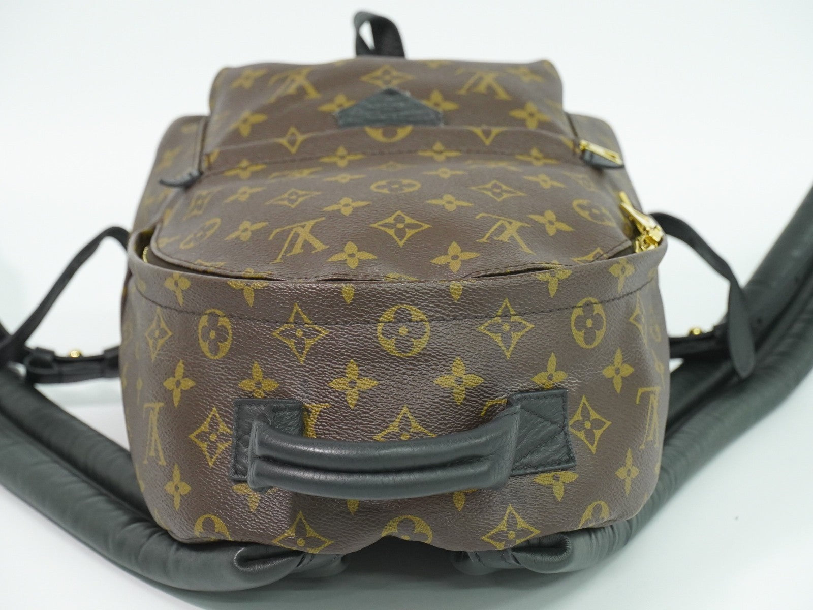 Louis Vuitton Palm Springs Backpack Monogram Canvas, BROWN, CANVAS, Backpack