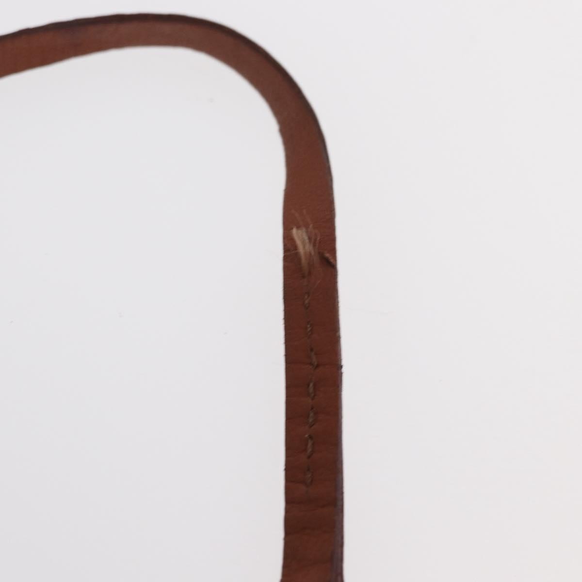 Louis Vuitton Papillon Pochette Monogram Canvas, BROWN, CANVAS, Clutche & pouche