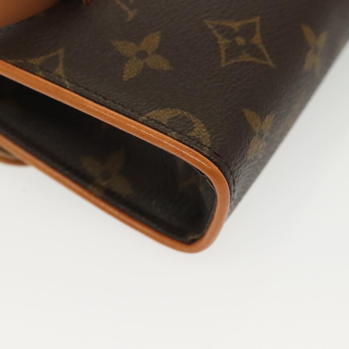 Louis Vuitton Florentine Waist Bag Monogram Canvas, BROWN, CANVAS, Clutche & pouche