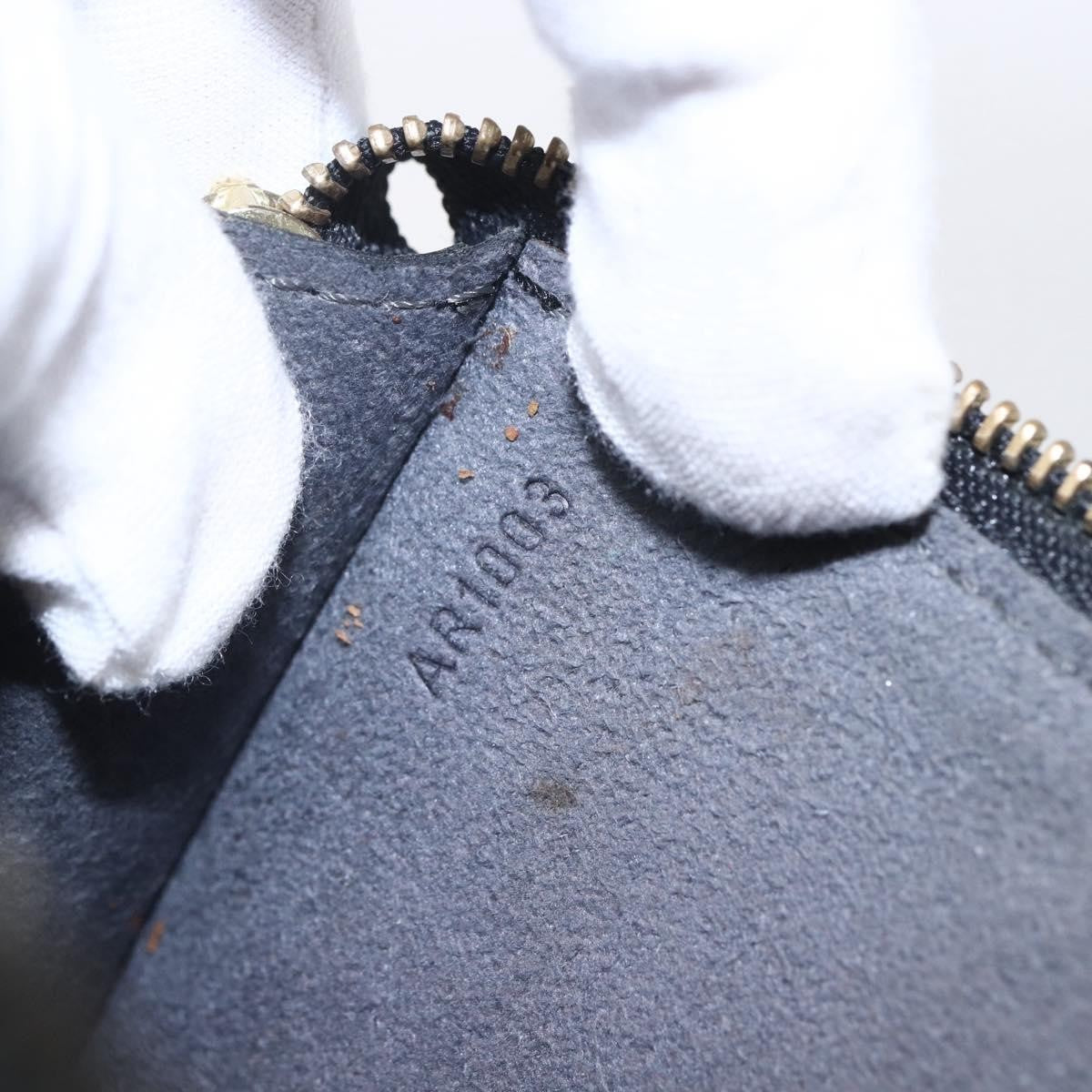 Louis Vuitton Pochette Accessoires Epi Leather, BLACK, LEATHER, Clutche & pouche