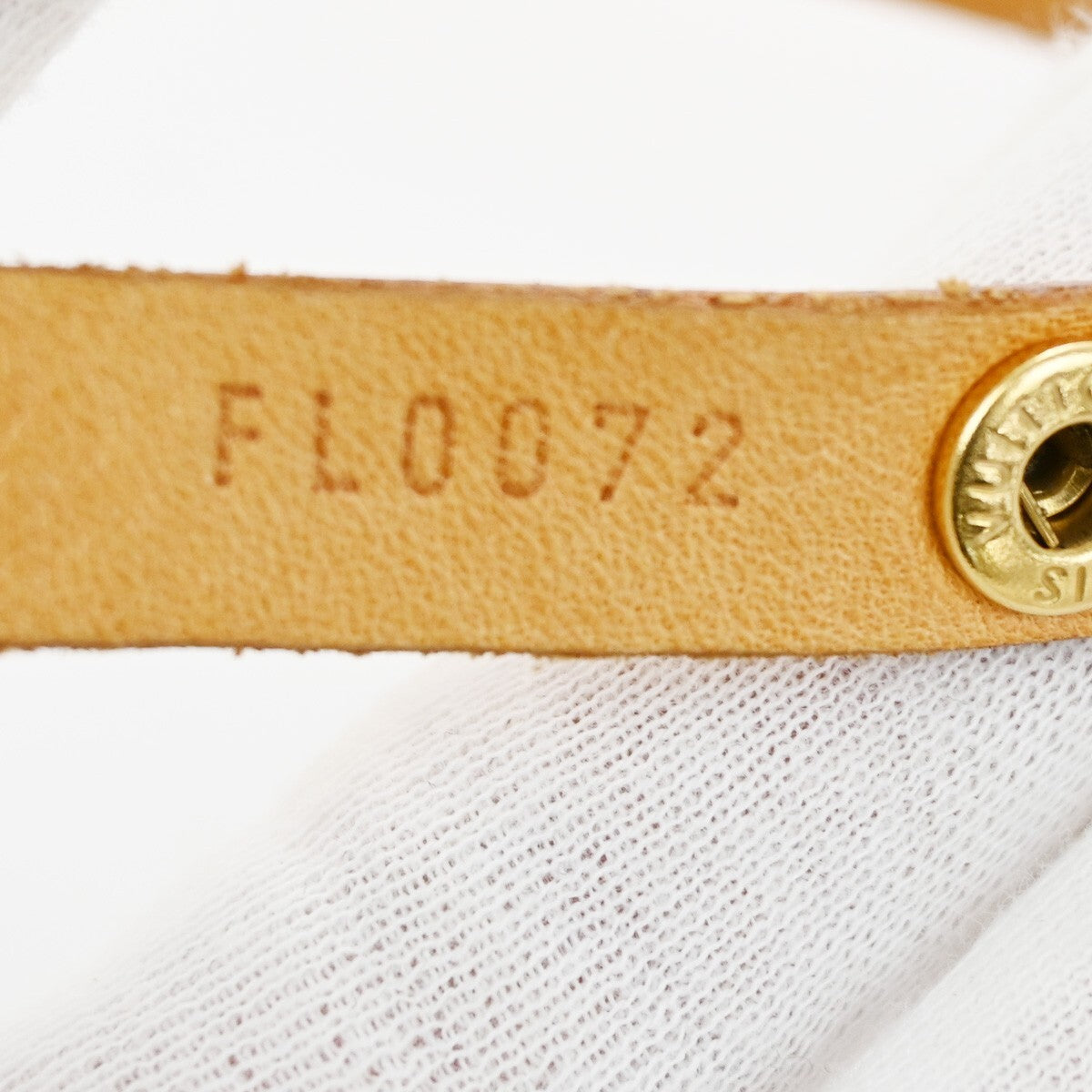 Louis Vuitton Florentine Waist Bag Monogram Canvas, BROWN, CANVAS, Crossbody bag