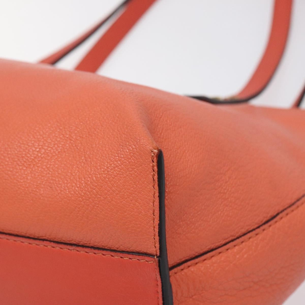 Chloe Dilan Tote Leather, ORANGE, LEATHER, Tote bag