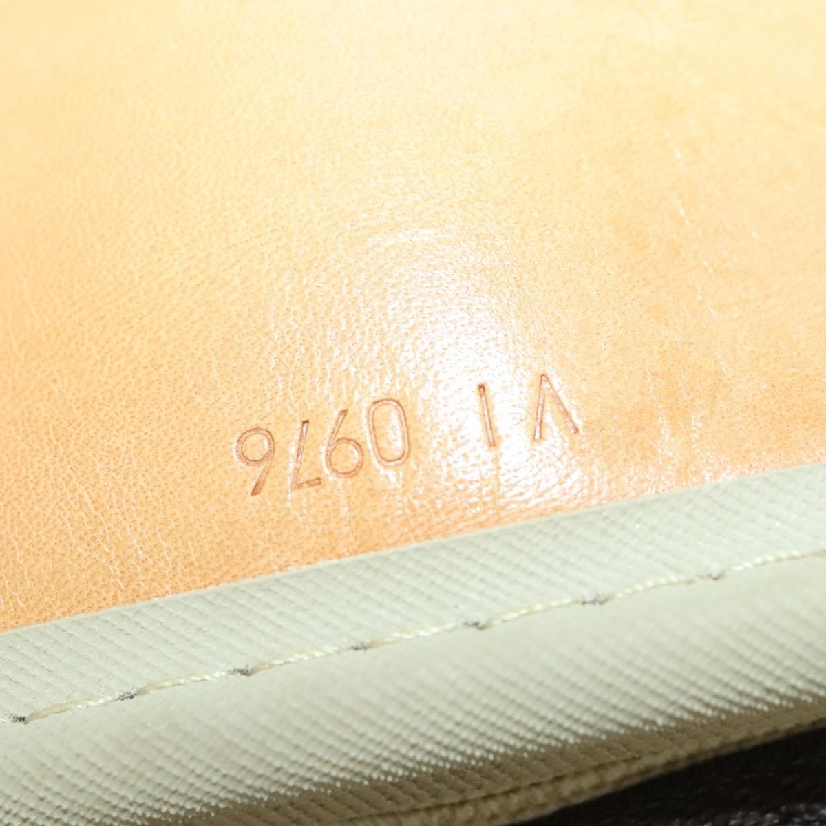 Louis Vuitton Alize Bag Monogram Canvas, BROWN, CANVAS, Travel bag