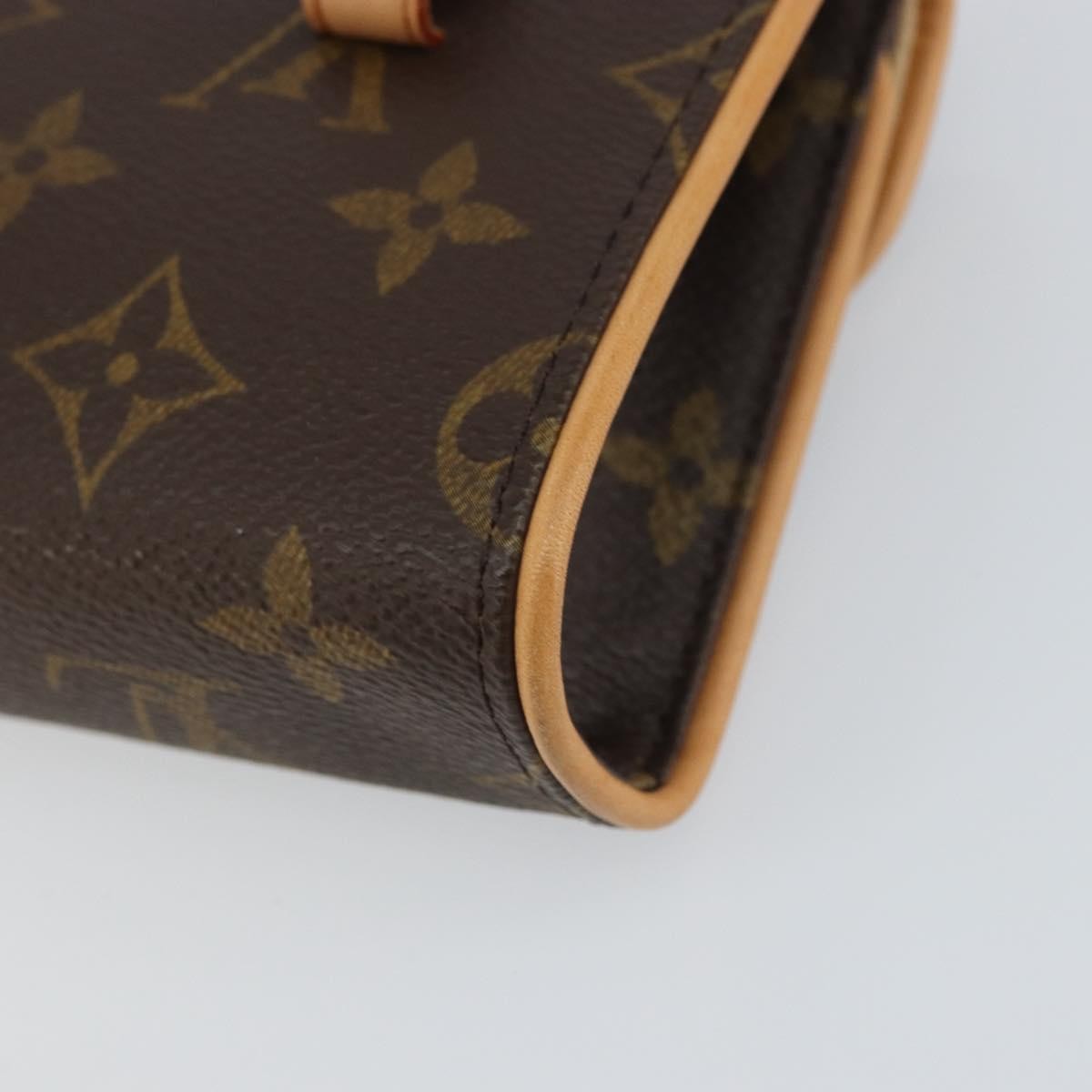 Louis Vuitton Florentine Waist Bag Monogram Canvas, BROWN, CANVAS, Clutche & pouche