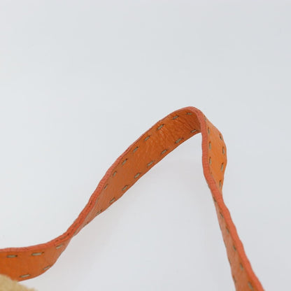 Fendi Mama Forever Bag Raphia, BEIGE, WOOD, Bag