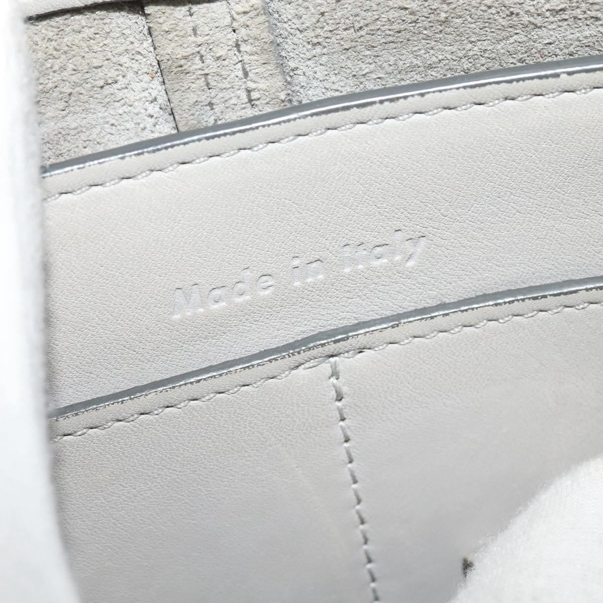 Celine Tri-Fold Clutch on Chain Smooth Leather, GRAY, LEATHER, Shoulder bag