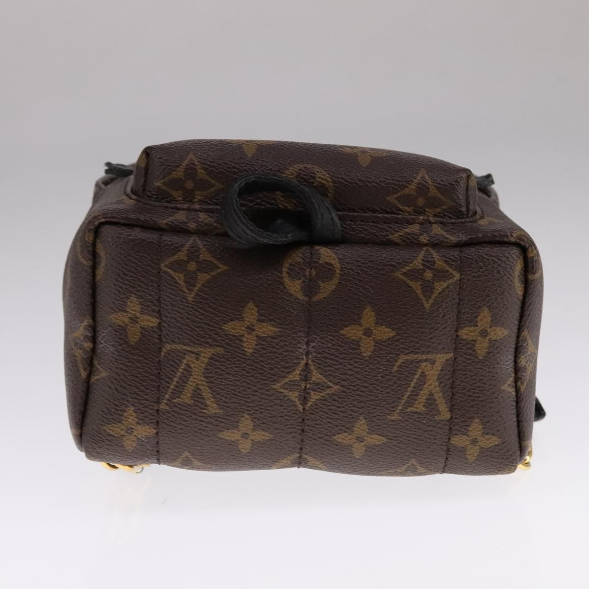 Louis Vuitton Palm Springs Backpack Monogram Canvas, BROWN, CANVAS, Backpack