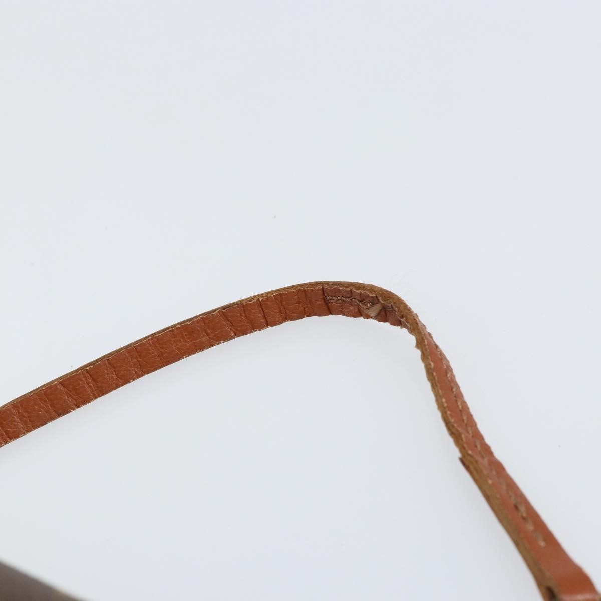 Louis Vuitton Papillon Pochette Monogram Canvas, BROWN, CANVAS, Clutche & pouche