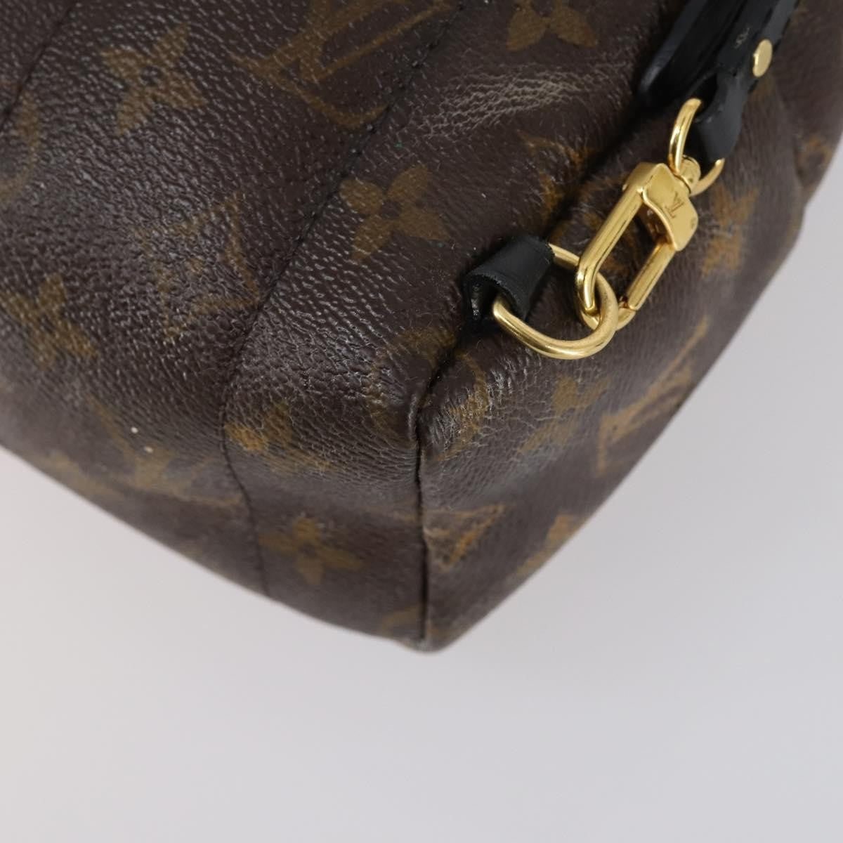Louis Vuitton Palm Springs Backpack Monogram Canvas, BROWN, CANVAS, Backpack