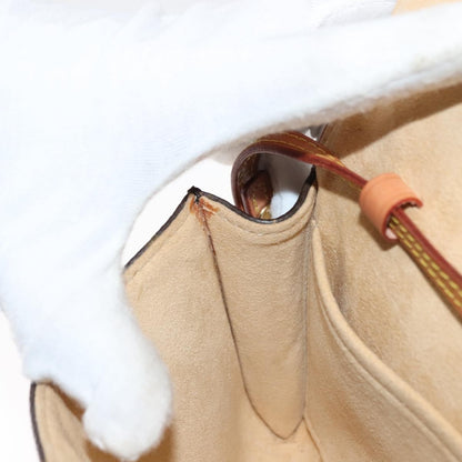 Louis Vuitton Twin Handbag Monogram Canvas, BROWN, CANVAS, Clutche & pouche