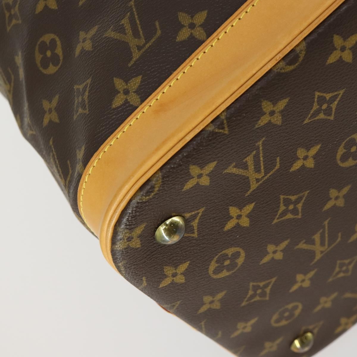 Louis Vuitton Cruiser Handbag Monogram Canvas, BROWN, CANVAS, Travel bag
