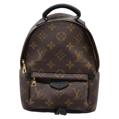 Louis Vuitton Palm Springs Backpack Monogram Canvas, BROWN, CANVAS, Backpack