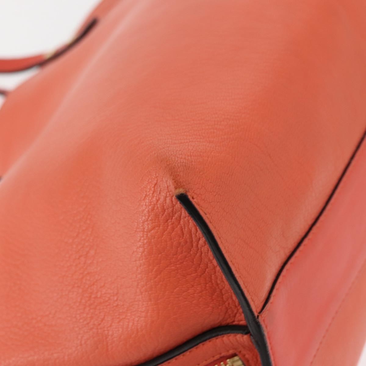 Chloe Dilan Tote Leather, PINK, LEATHER, Tote bag