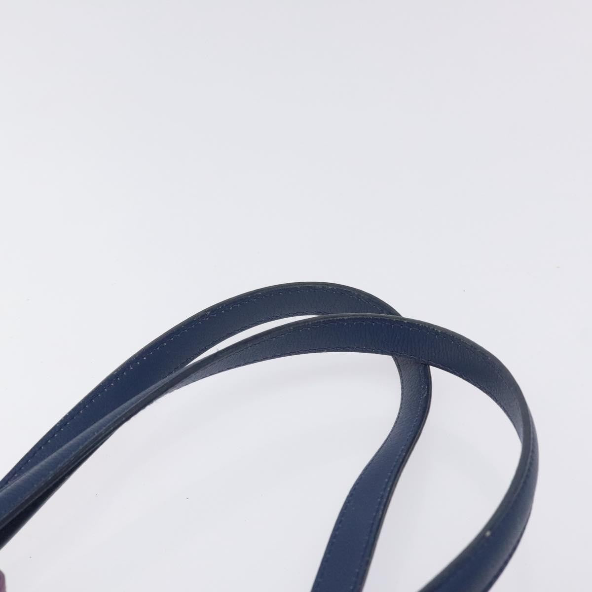 Christian Dior Blossom Handbag Leather, BLUE, LEATHER, Tote bag