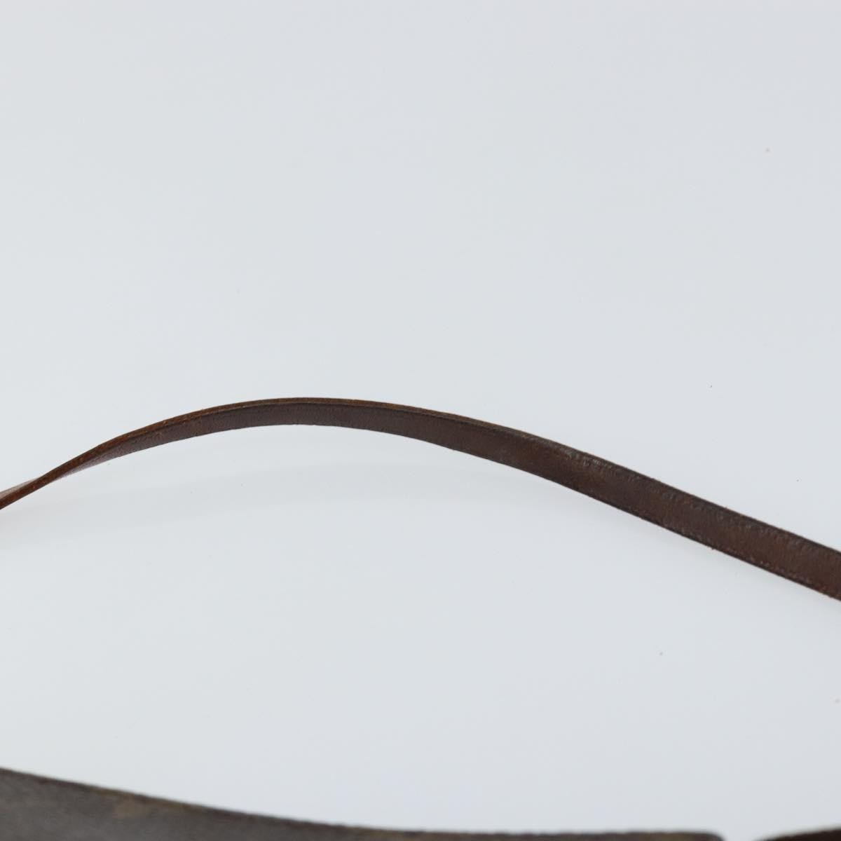 Louis Vuitton Pochette Accessoires NM Monogram Canvas, BROWN, CANVAS, Clutche & pouche