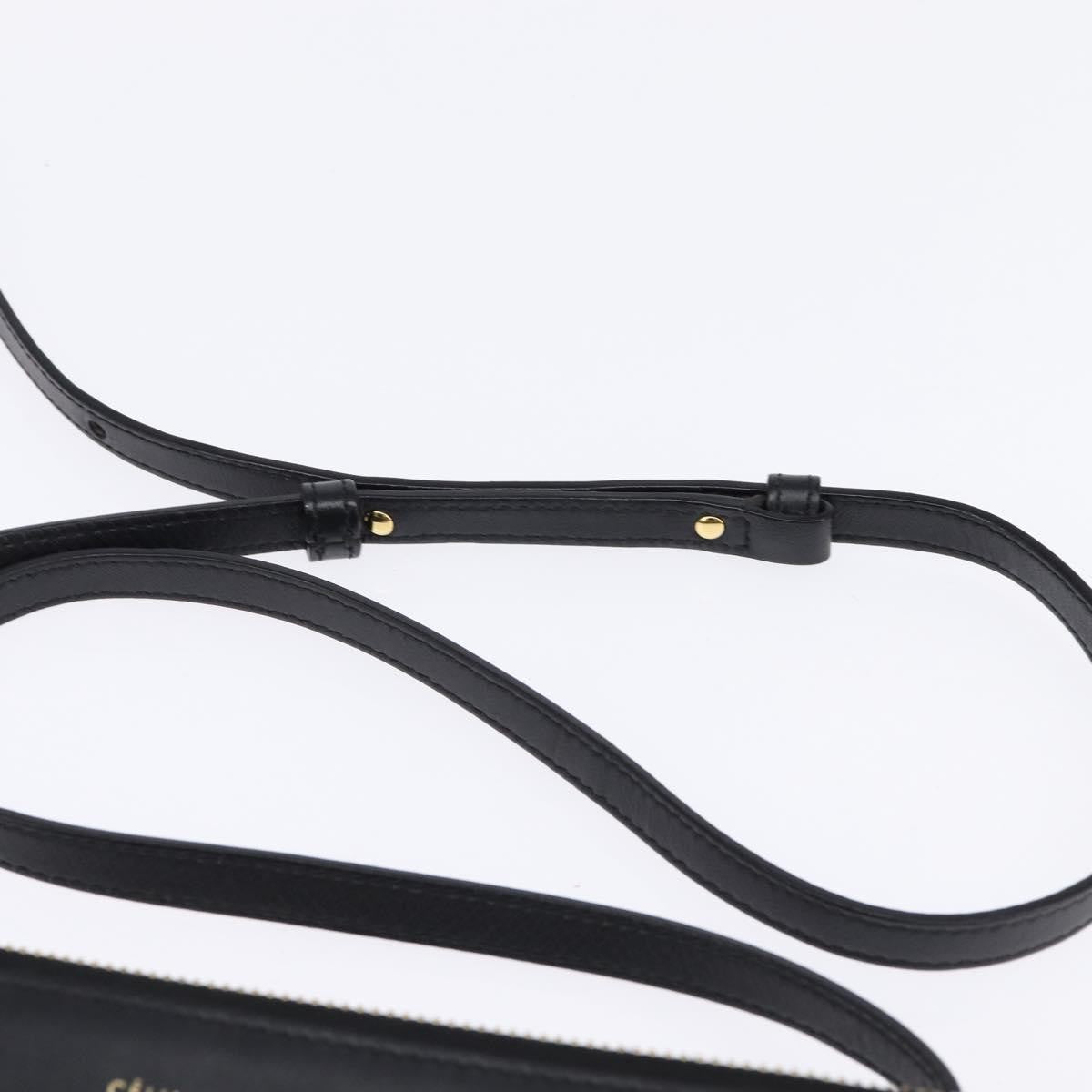 Celine Trio Crossbody Bag Leather, BLACK, LEATHER, Crossbody bag