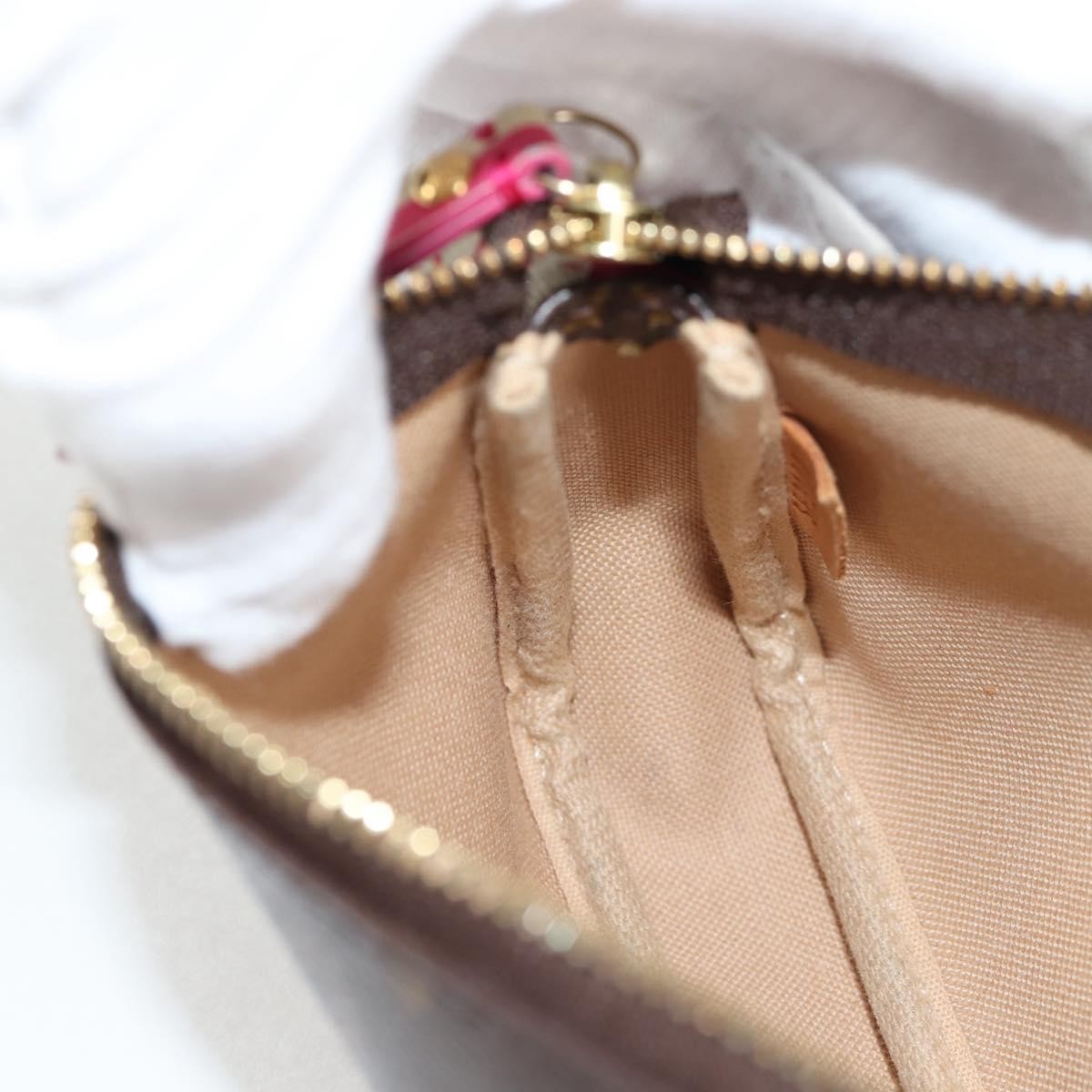 Louis Vuitton Pochette Accessoires Limited Edition Christmas Animation Monogram Canvas, BROWN, CANVAS, Clutche & pouche