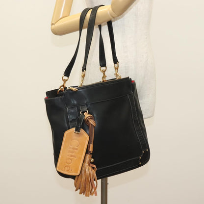 Chloe Vintage Shoulder Bag Leather, BLACK, LEATHER, Shoulder bag