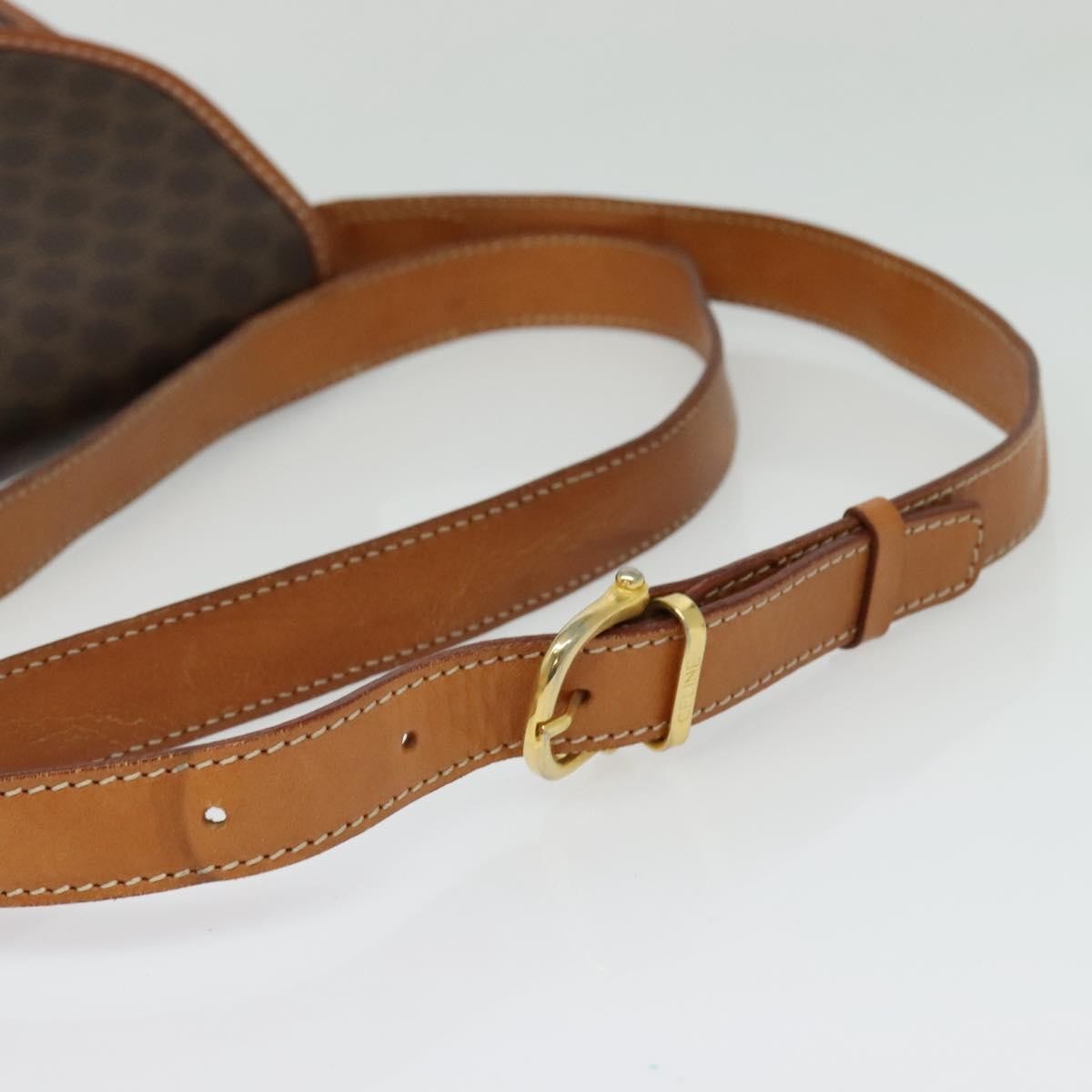 Celine Tricolor Trapeze Bag Leather, BROWN, CANVAS, Handbag