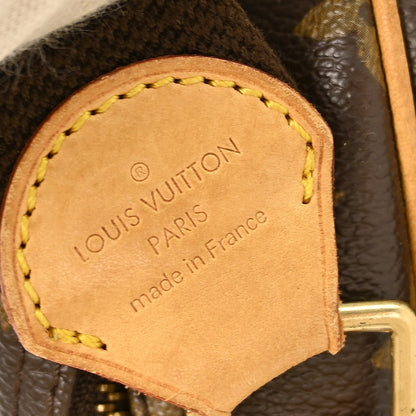 Louis Vuitton Reporter Bag Monogram Canvas, BROWN, CANVAS, Shoulder bag
