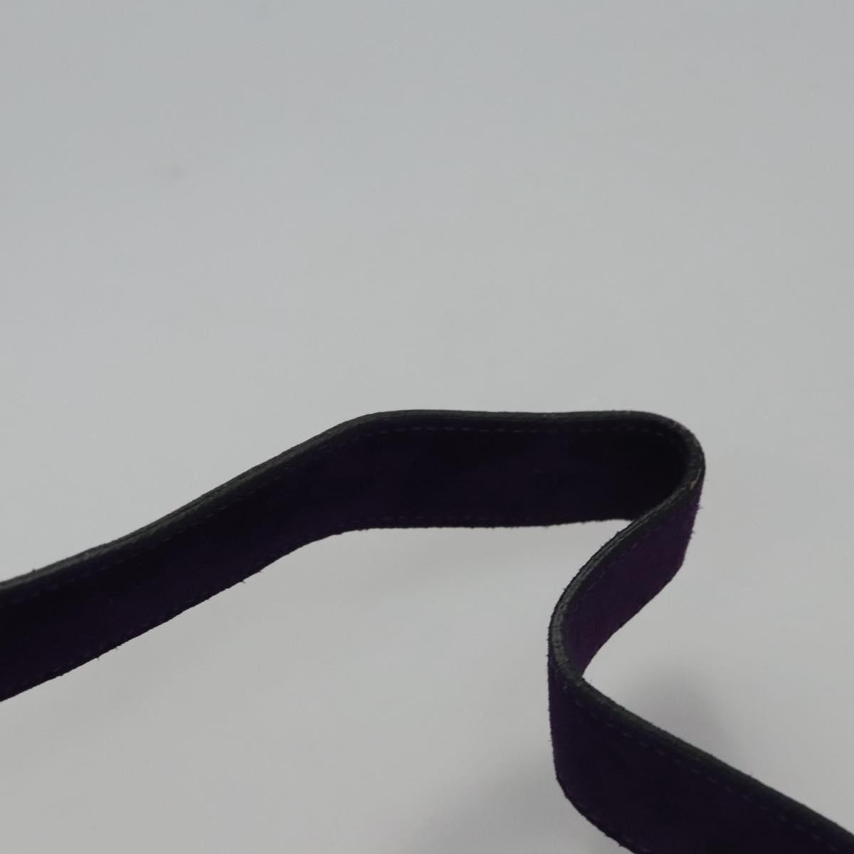 Celine Circle logo Suede and Leather, PURPLE, SUEDE, Shoulder bag