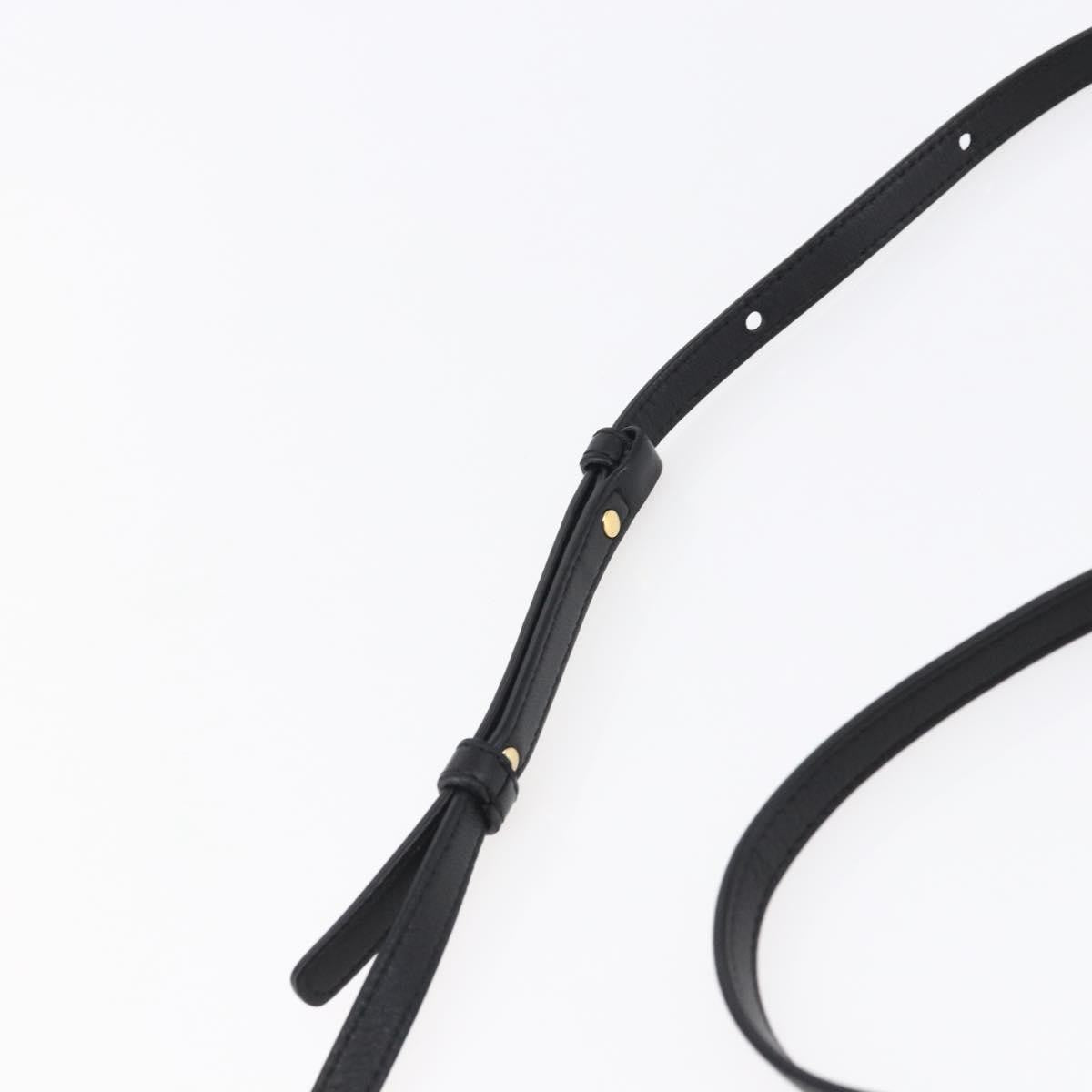 Celine Trio Crossbody Bag Leather, BLACK, LEATHER, Crossbody bag