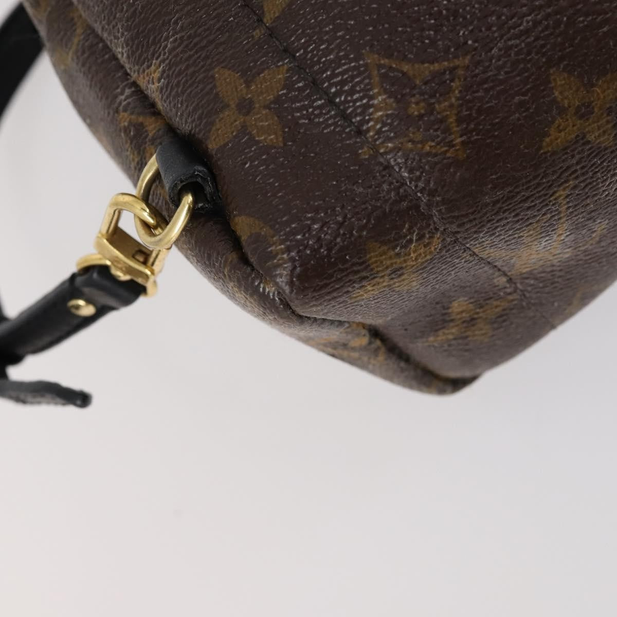 Louis Vuitton Palm Springs Backpack Monogram Canvas, BROWN, CANVAS, Backpack