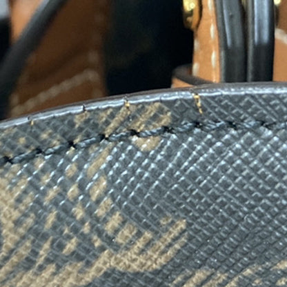 Celine Vertical Cabas Tote Triomphe Coated Canvas, BROWN, CANVAS, Tote bag