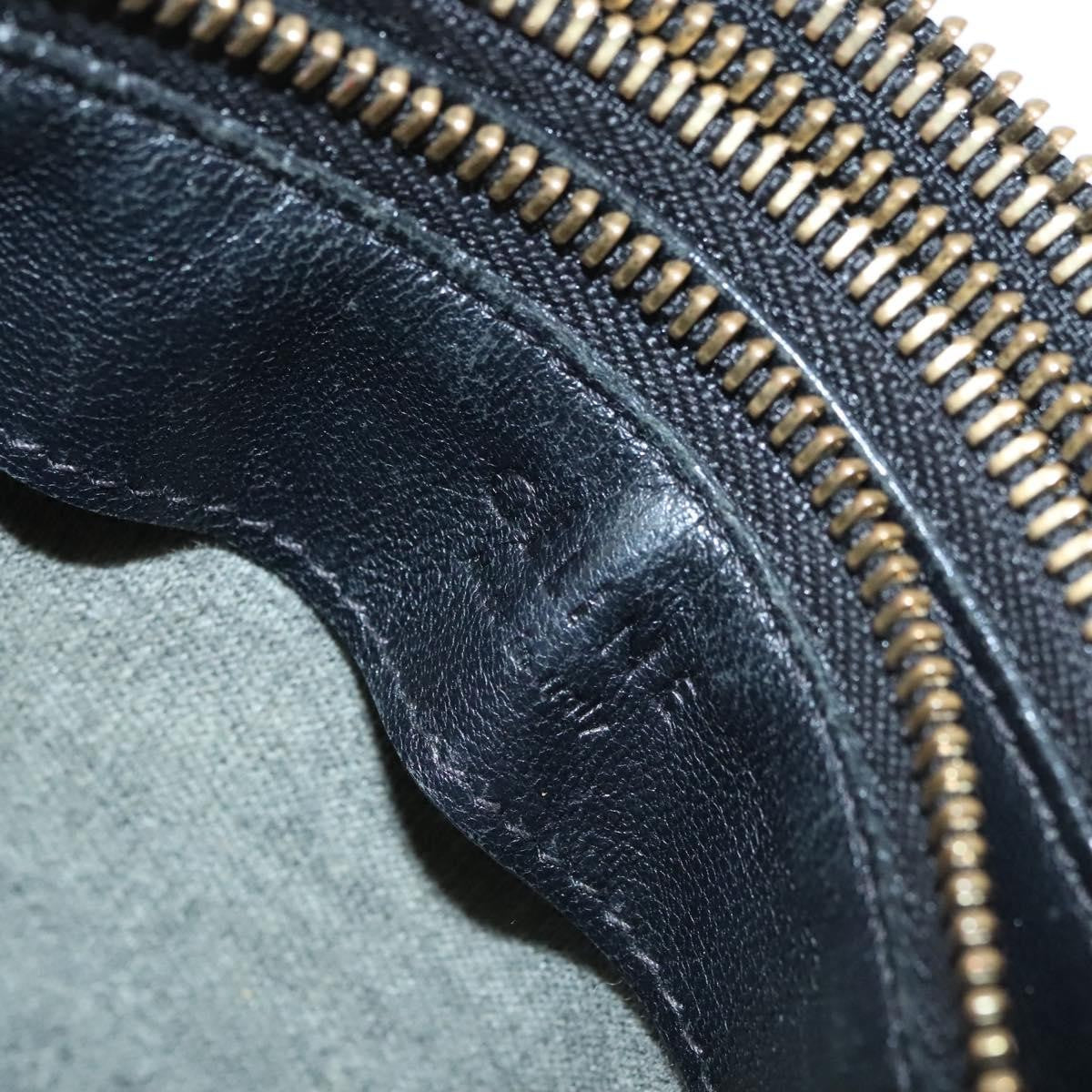 Celine Trio Crossbody Bag Leather, BLACK, LEATHER, Crossbody bag