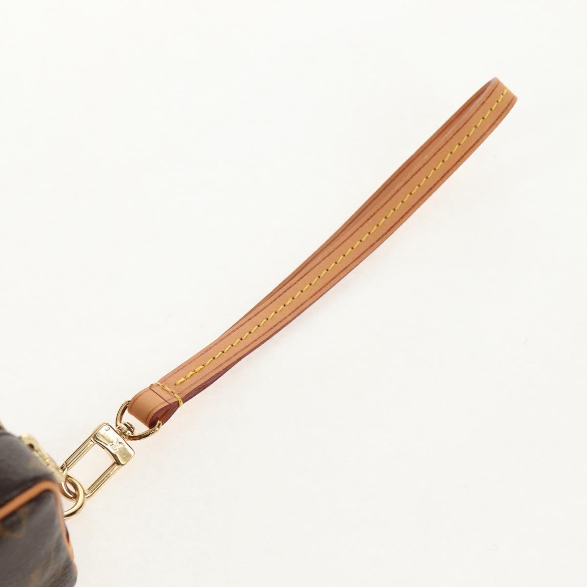 Louis Vuitton Wapity Trousse Pouch Monogram Canvas, BROWN, CANVAS, Clutche & pouche