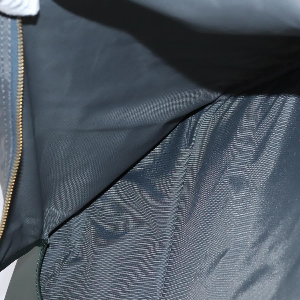 Louis Vuitton Garment Cover Taiga Leather, GREEN, LEATHER, Travel bag