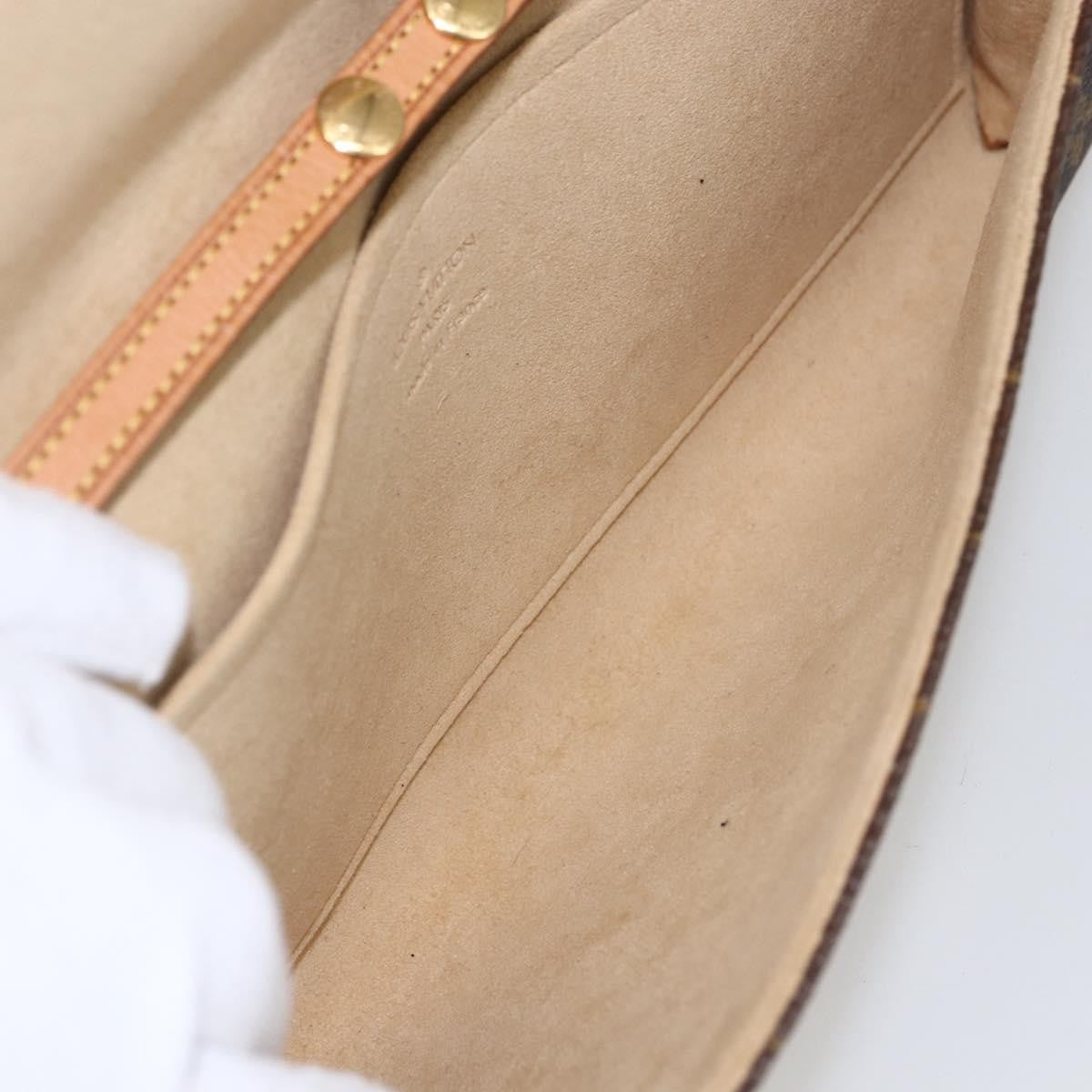 Louis Vuitton Twin Handbag Monogram Canvas, BROWN, CANVAS, Clutche & pouche