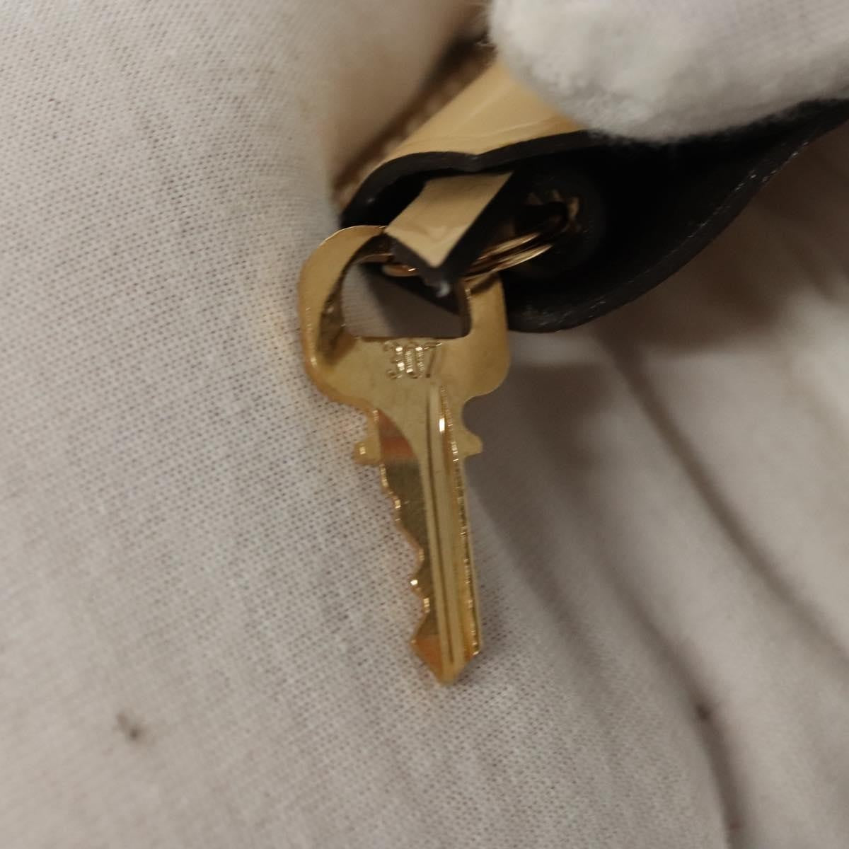 Louis Vuitton Santa Monica Handbag Monogram Vernis, BEIGE, PATENT_LEATHER, Handbag