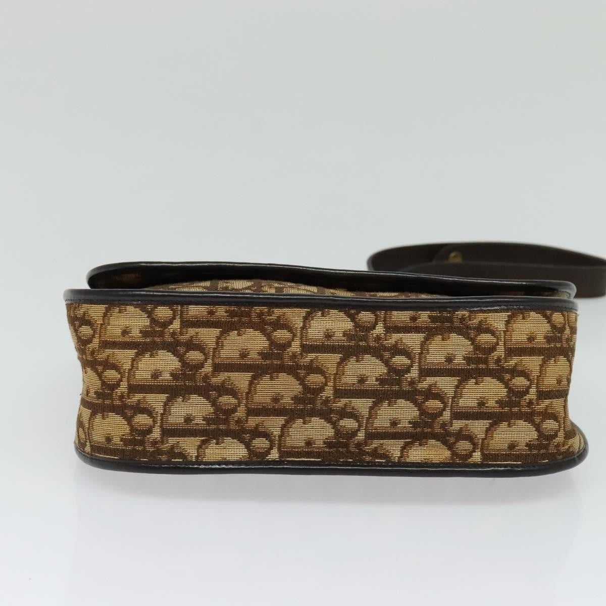 Christian Dior Vintage Trotter Flap Shoulder Bag Canvas, BROWN, CANVAS, Shoulder bag