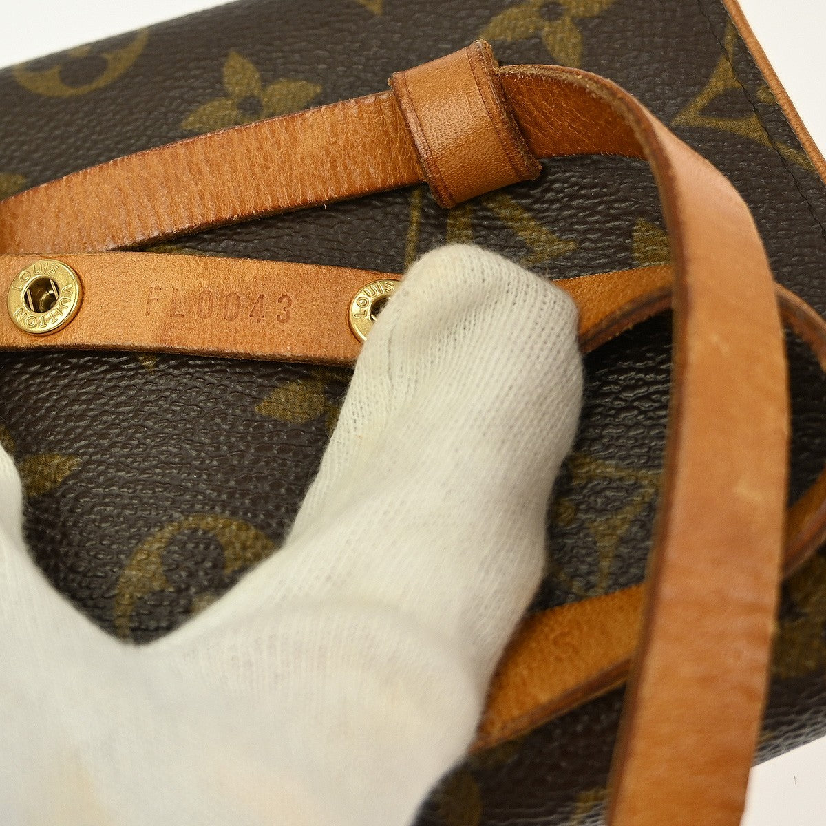 Louis Vuitton Florentine Waist Bag Monogram Canvas, BROWN, CANVAS, Clutche & pouche