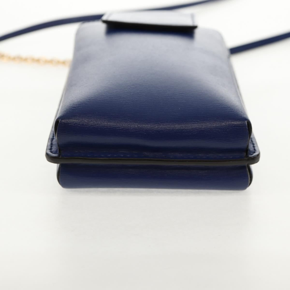 Salvatore Ferragamo Vintage Vara Crossbody Bag Nylon, BLUE, LEATHER, Clutche & pouche