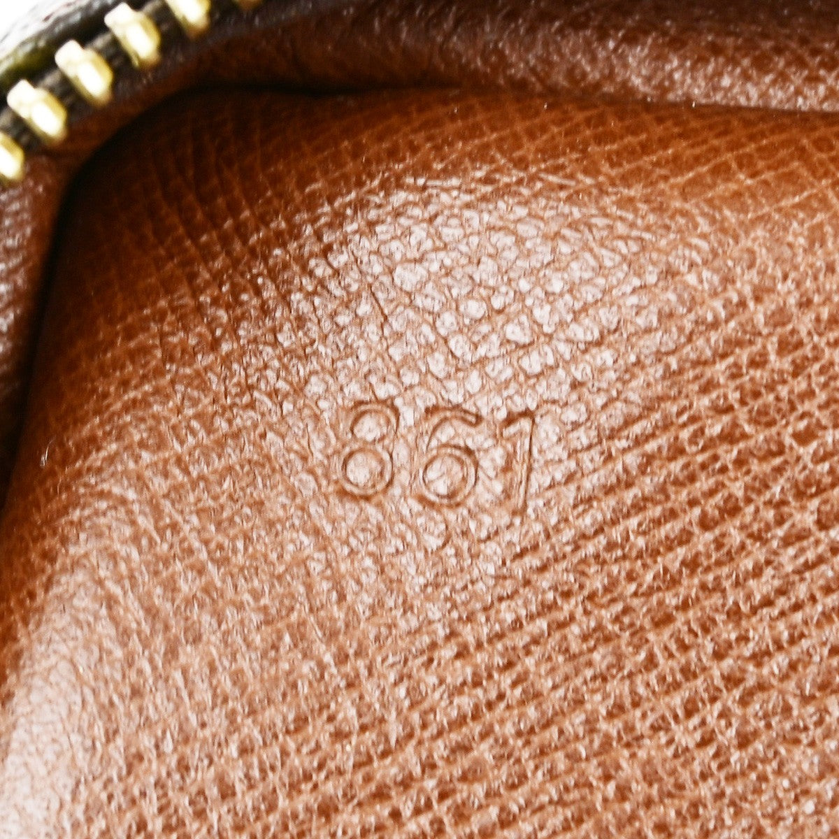 Louis Vuitton Amazone Bag Monogram Canvas, BROWN, CANVAS, Crossbody bag