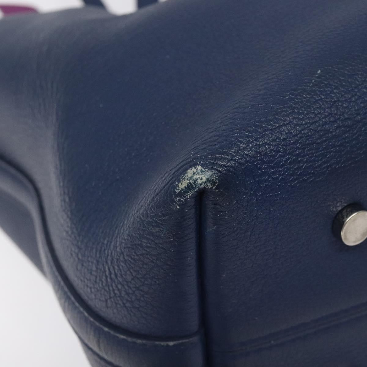 Christian Dior Blossom Handbag Leather, BLUE, LEATHER, Tote bag