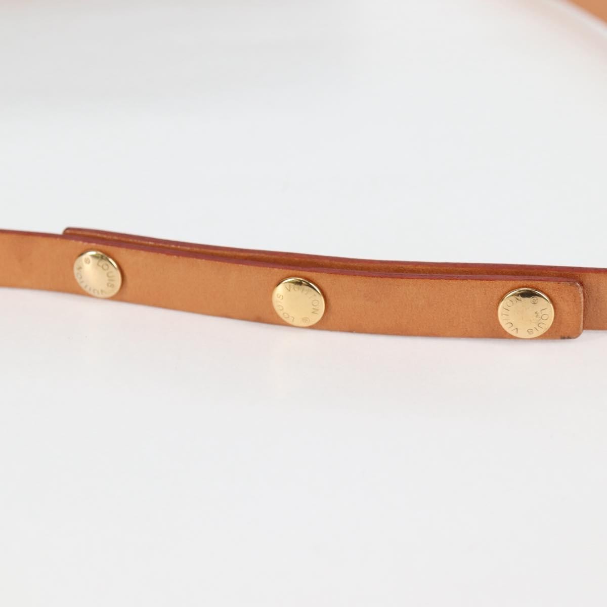 Louis Vuitton Florentine Waist Bag Monogram Canvas, BROWN, CANVAS, Shoulder bag