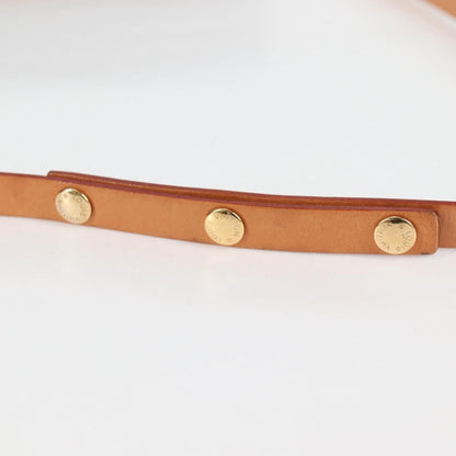 Louis Vuitton Florentine Waist Bag Monogram Canvas, BROWN, CANVAS, Shoulder bag