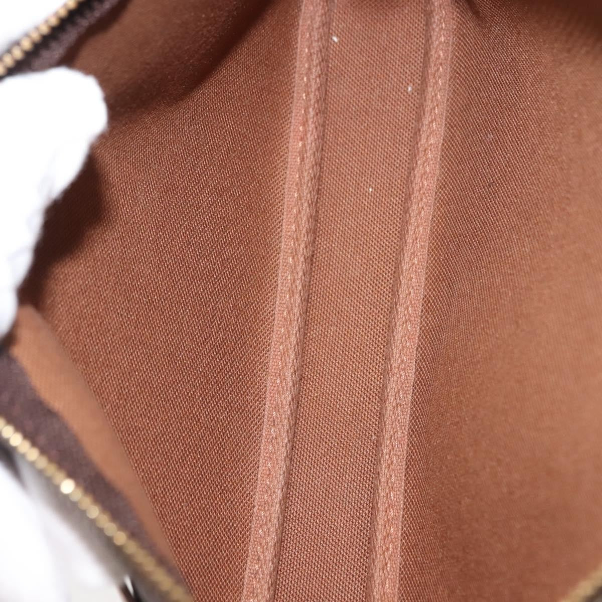 Louis Vuitton Pochette Accessoires NM Monogram Canvas, BROWN, CANVAS, Clutche & pouche